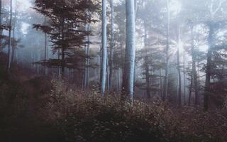 贵金属市场第一季度回顾与展望